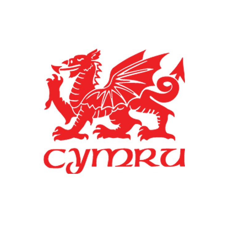 Dragon graphic with Cymru text