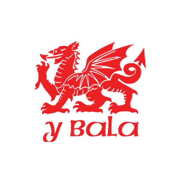 Dragon graphic with Y Bala text