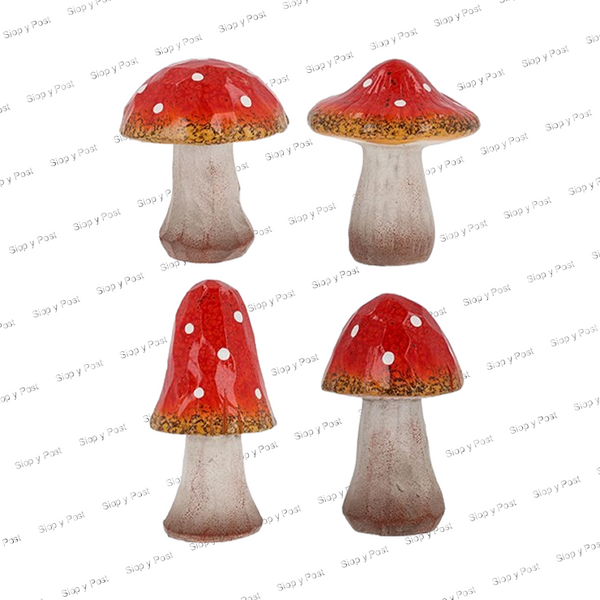 Mystic Mushrooms