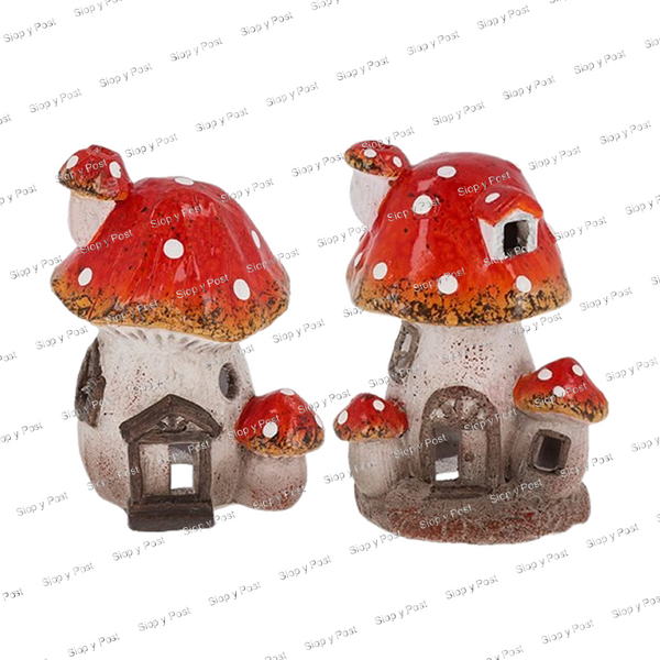 Mystic Mushrooms