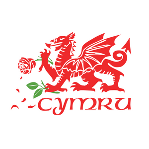 Graff feinyl y Ddraig Gymreig (cellwair rygbi) -  Welsh Dragon vinyl graphic (rugby banter)