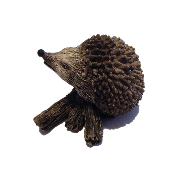 Draenog - Hedgehogs