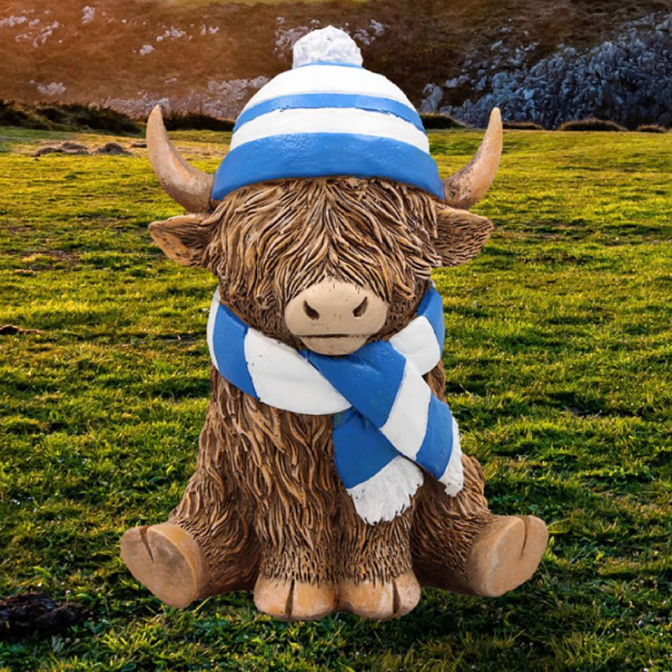 Buwch ucheldir - Highland cow - Collection