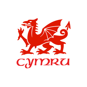 Graffeg finyl y Ddraig Gymreig (proffil amgen) -  Welsh Dragon vinyl graphic (alternative profile)