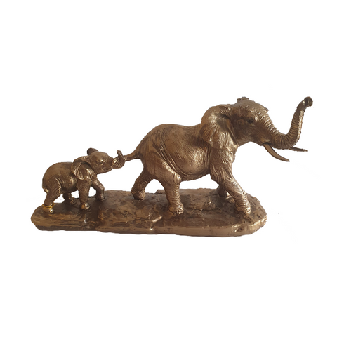 Eliffant a Llo - Elephant & Calf