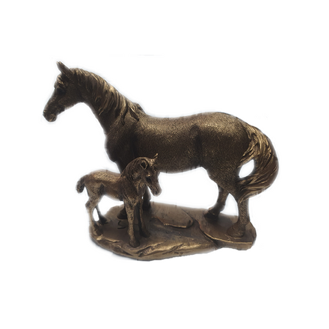 Ceffyl ac ebol - Horse and foal