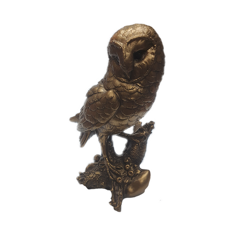 Tylluan - Owl