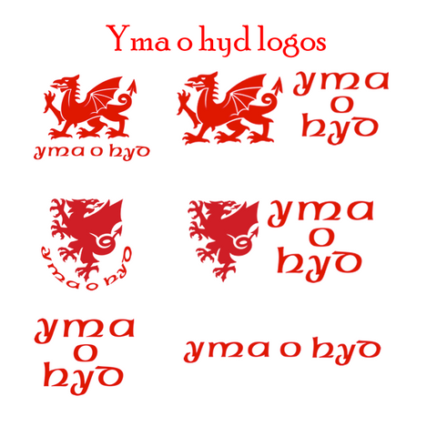 Yma o Hyd - Graffig feinyl a Ddraig Gymreig -   Still Here - Vinyl graphic and Welsh Dragon